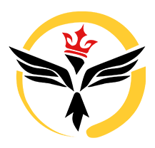 تبیلغات وی آی پی